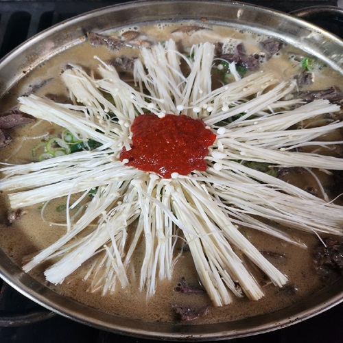[블로그 기자단] 일광보양*