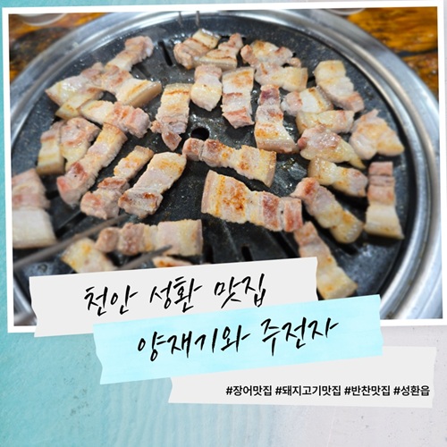 [블로그 기자단] *재기와주전자