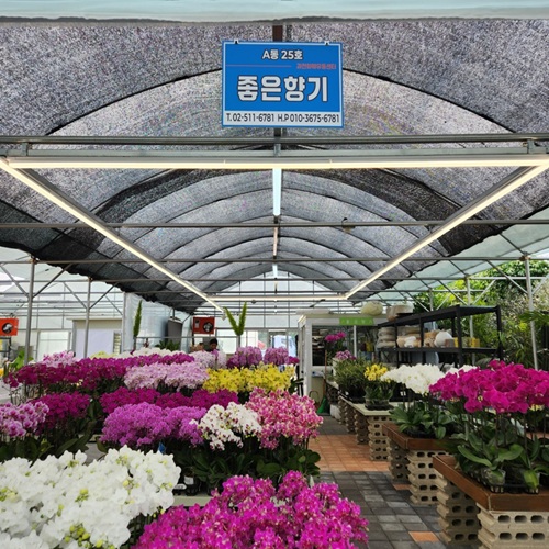 [블로그 기자단] *은향기