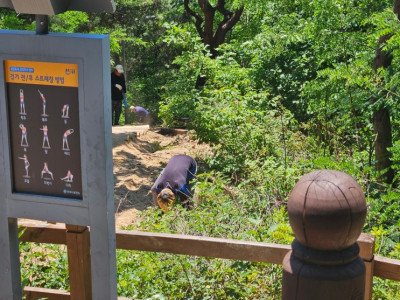 공원데크보수현장 제대로 해주시는 일가자인력남양주진접점