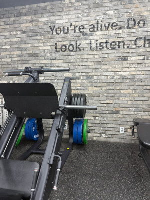 신촌피티, 신촌헬스, 연대피티 '박현범피티스튜디오'