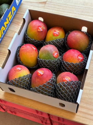 순천과일맛집 신선한 과일을 매일 가져오는 베리룸