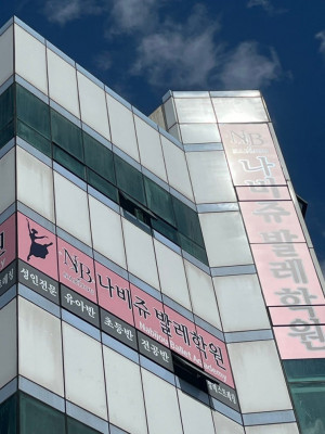 창원 발레학원에서 시작한 나의 첫 발레, 나비쥬발레학원 솔직 후기