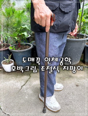 오른손용지팡이 추천 도매꾹 인체공학 호박그립 조절식 지팡이