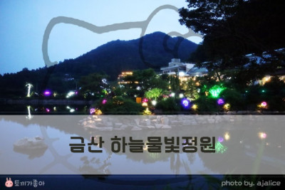 대전 데이트코스 하늘물빛정원 야경에 취하고 맛에 반하다