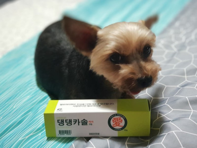 강아지마데카솔, 댕댕카솔 피부진정 케어크림