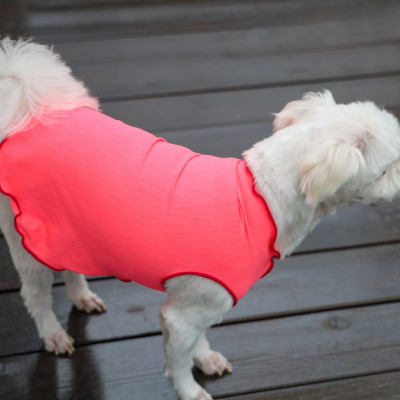 강아지여름옷 체온 조절기능 요기니독 냉감 은나노 티셔츠