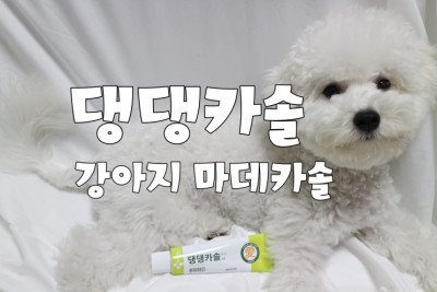 강아지 필수크림 댕댕카솔 : 강아지케어 발사탕 발바닥보습 추천