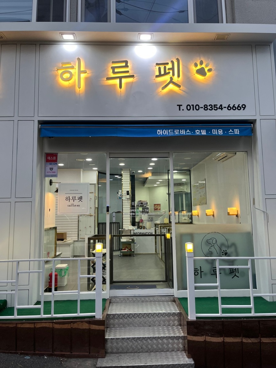 [블로그 기자단] *루펫