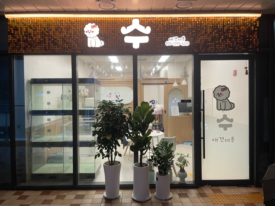 [블로그 기자단] *애견샵