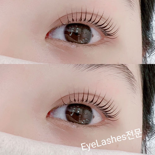 [블로그기자단] Eye Lashs