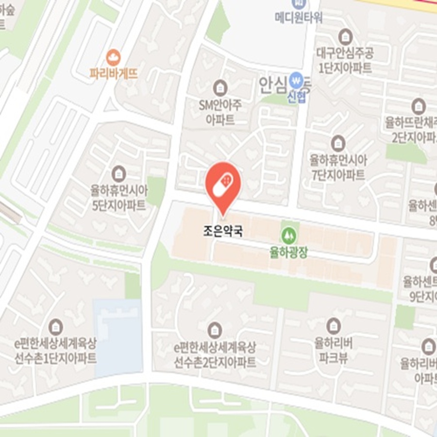 [블로그 기자단] *은약국