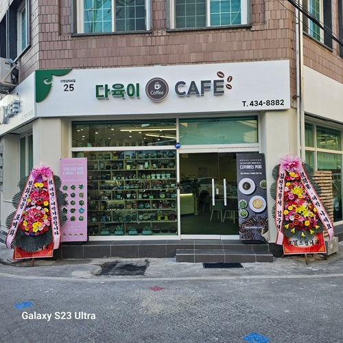 [블로그 기자단]​ 다육이카*