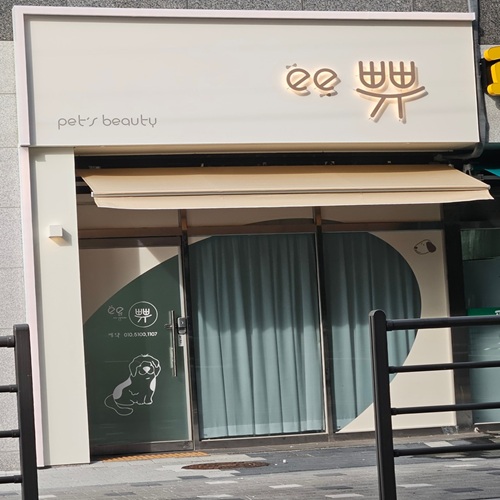 [블로그 기자단] *e쀼