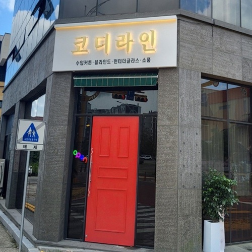 [긴급 블로그 기자단] *디 라인