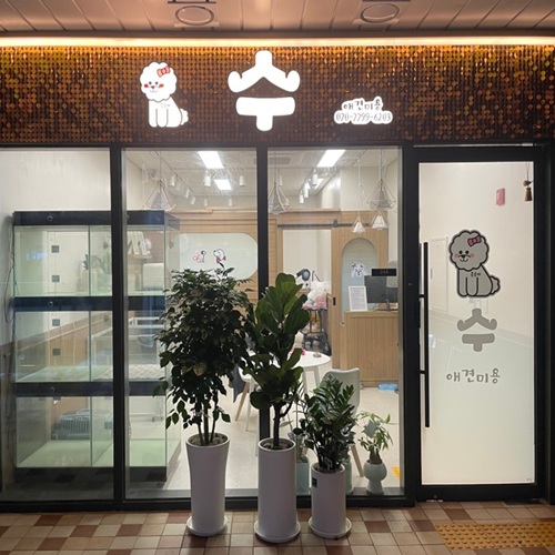[블로그 기자단] *애견샵