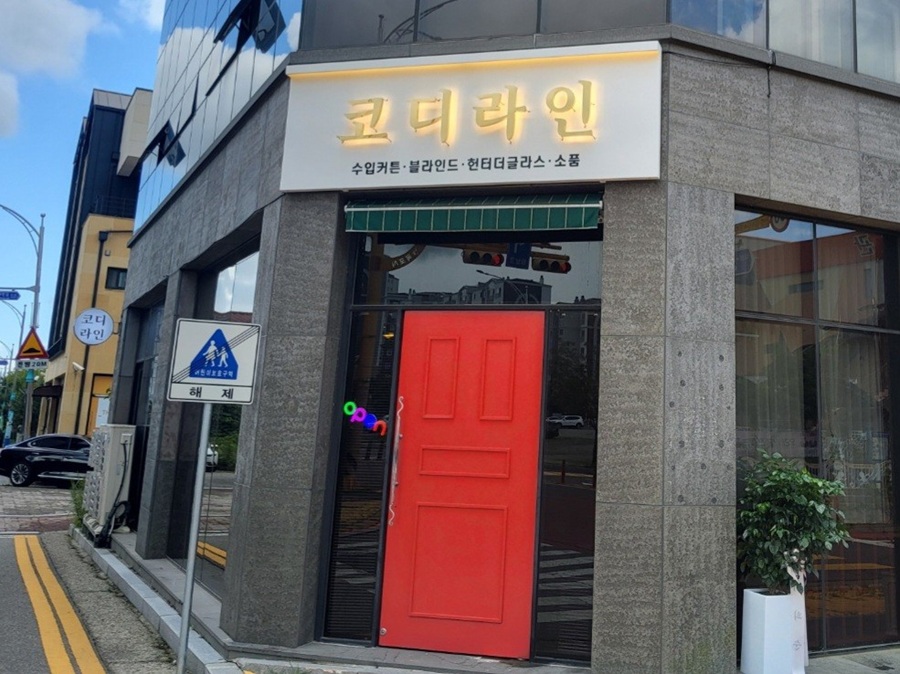 [긴급 블로그 기자단] *디 라인