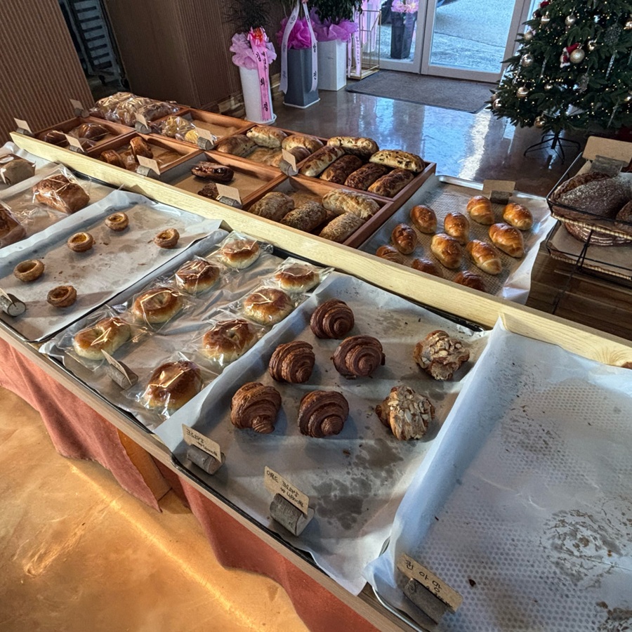 [블로그 기자단] *포레