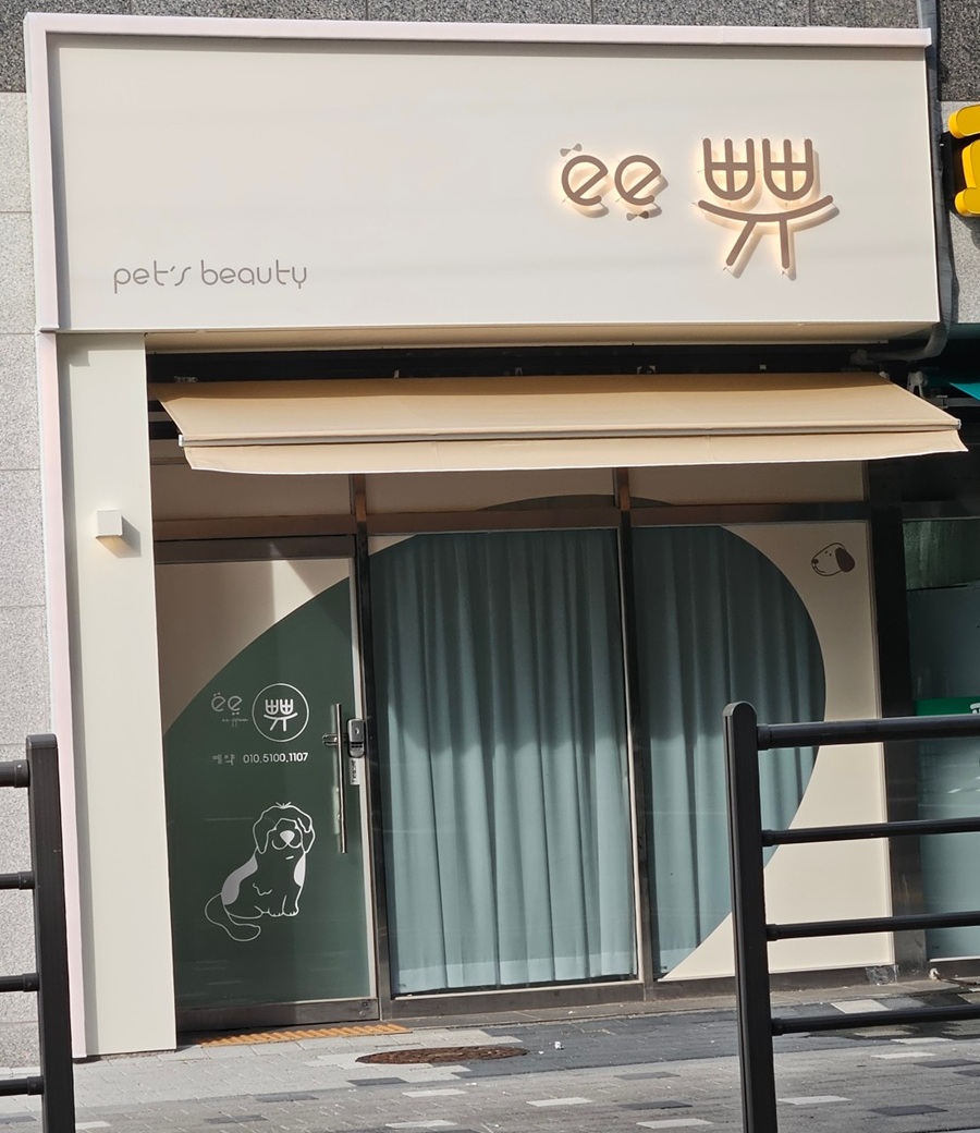 [블로그 기자단] *e쀼