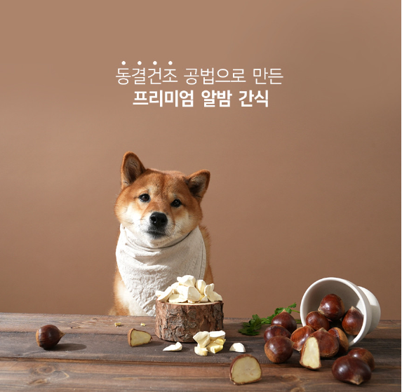 [베리앤펫] 강아지간식 알밤트릿