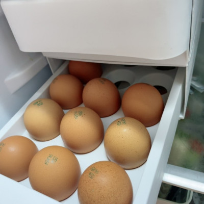 ::살림공간 계란보관함:: 계란 한판(30알) 보관 가능! 냉장고 정리 신박템
