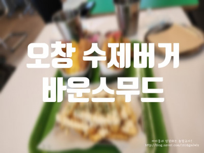 [ 오창 맛집 ] 오창호수공원 수제버거 맛집 : 바운스무드
