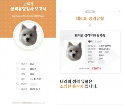 [리뷰/체험]카미 CAMI- 강아지 MBTI(강아지 성격유형검사)