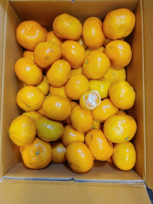 김포유통납품업체 식자재 다양한 올굿유통