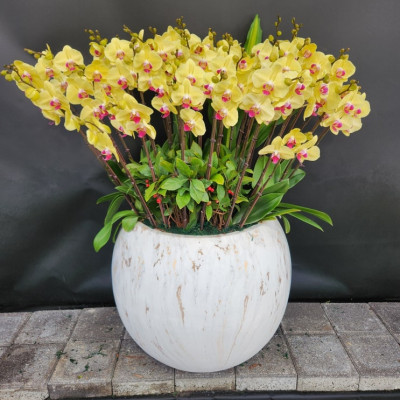 서울전지역경기꽃배달 서울경기 주문제작 꽃 좋은향기