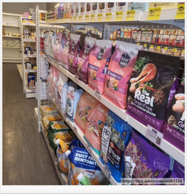 수원 애견용품점 강아지간식 고양이모래 살때 씨유펫 수원정자점 편해요