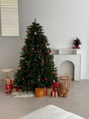 구미자연광스튜디오 스튜디오슈슈 공간대여 추천