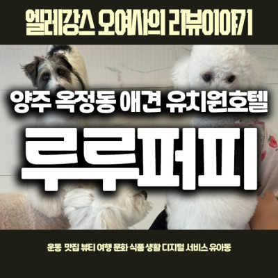 루루퍼피: 양주 옥정동의 안전한 애견 유치원과 호텔