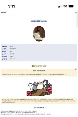 고양이MBTI / 반려묘 이해하기 / CAMI 반려묘 성격유형검사