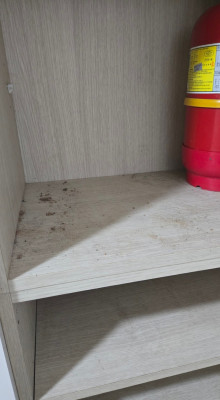 [나주 청소업체] 하청 없이 20대 부부 사장님이 직접! '깨끗한,결' 나주원룸청소 200% 만족 후기 (전남청소업체, 광주청소업체)