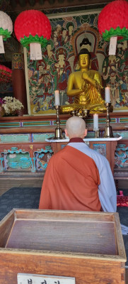 역사가 살아 숨쉬는 신라를 느낄수 있었던 경주패키지여행-문화로드판