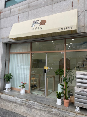 가위컷전문으로 애견들이 스트레스없게 미용을 받을 수 있는 쓰담쓰담 애견미용실
