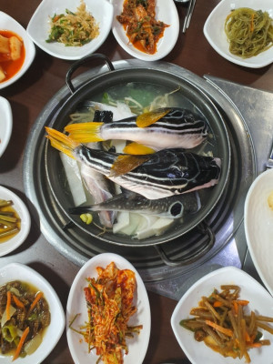 변산맛집 황제복집 | 참복지리 한 그릇, 부안 물회맛집 인정!