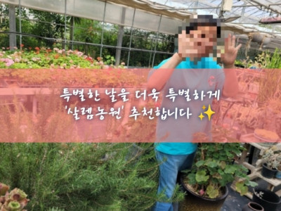 제라늄 판매, 열대식물 , 가족체험 '살렘농원'
