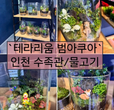 인천 수족관, 인천 물고기, 테라리움 ‘범아쿠아’