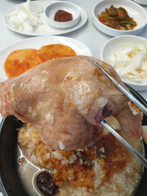 광사동맛집 양주오리백숙 맛있게 먹고 싶다면 월계촌으로 렛츠고