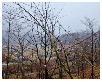 여행사추천 하나투어 경남전세버스협동조합 통쿱당일여행 - 3월 나들이, 부산해운대 스파여행