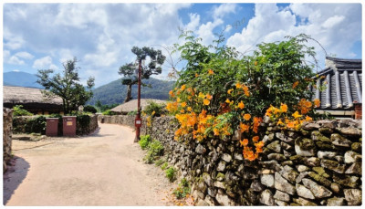 다가오는 추석, 꼼꼼하고 만족스러운 용인 산소벌초 예초작업 푸른솔나무병원 추천