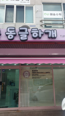 강아지미용실 동글하개에서 만나는 강아지 스트레스 제로! 프리미엄 반려동물미용 후기