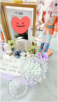 반려동물 장례 어디로 할지 고민이라면 1004반려동물장례식장