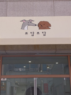 구미 가위컷전문 애견미용실, 스트레스없는미용은 쓰담쓰담에서