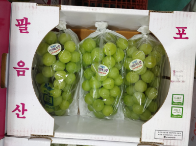 김포 식자재 유통 믿을 수 있는 파트너! 새벽부터 움직이는 김포 납품 업체 올굿유통 이야기