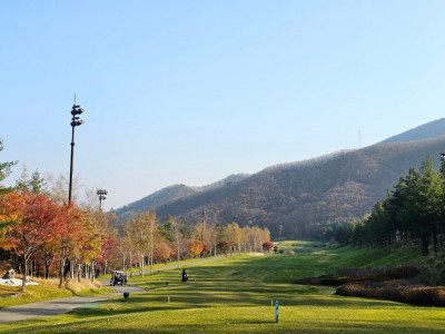 국내 여행사 보명투어 하이원CC 1박2일 골프 패키지 후기! 골프 부부조인 추천 이유