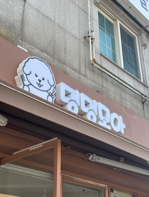 김해 애견 미용 댕댕모아에서 만난 우리 아이 전용 힐링 미용 후기