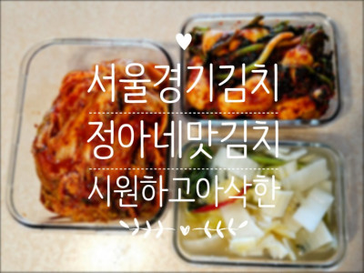 서울김치 깔끔한김치 맛있는 정아네 맛김치