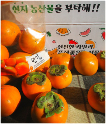 도매꾹 푸드박스 과일추천 산지직송 햇 단감